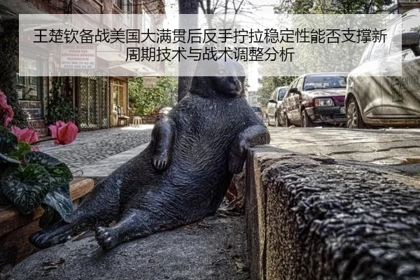wang-chu-qin-bei-zhan-mei-guo-da-man-guan-hou-fan-shou-ning-la-wen-ding-xing-neng-fou-zhi-cheng-xin-zhou-qi-ji-shu-yu-2-506.jpg